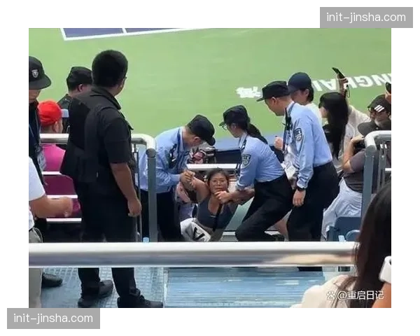 球迷闯入比赛场地事件频发,多国联赛考虑加强安保措施 球迷闯入比赛场地事件频发,多国联赛考虑加强安保措施